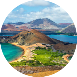 Tours and Excursions